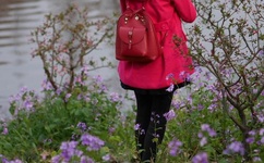 亚洲 日韩 中文 制服